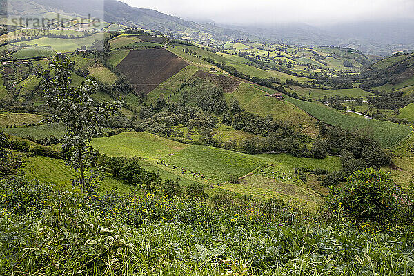 Nördliche Sierra-Landschaft  Carchi  Ecuador  Südamerika