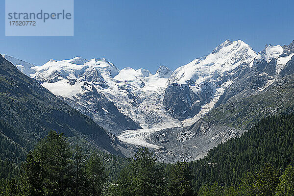 Piz Bernina und sein Gletscher  St. Moritz  Engadin  Graubünden  Rätische Alpen  Schweiz  Europa