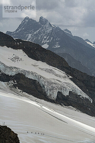 Wanderer auf dem Aletschgletscher vom Jungfraujoch  Berner Alpen  Schweiz  Europa