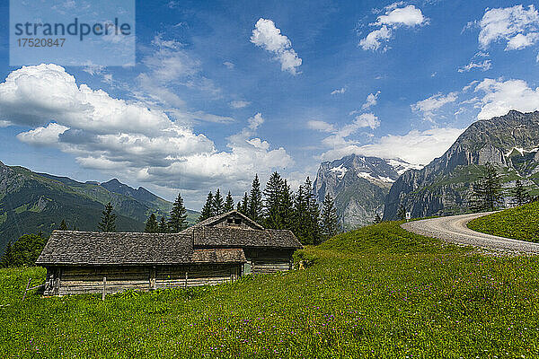 Eiger  Grindelwald  Berner Alpen  Schweiz  Europa
