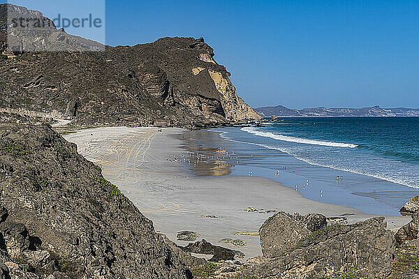 Strand von Fazayah  Salalah  Oman  Naher Osten