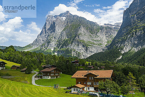 Eiger  Grindelwald  Berner Alpen  Schweiz  Europa