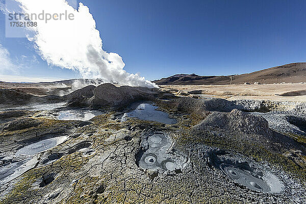 Geysire in Banos Termales im Eduardo Avaroa Andean Fauna National Reserve  Departement Potosi  Bolivien  Südamerika