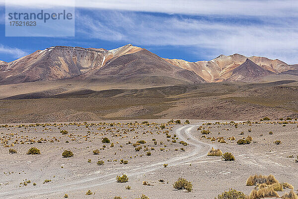 Blick auf den Altiplano in der Nähe des Canapa-Sees (Laguna Canapa)  Departement Potosi  südwestliches Bolivien  Südamerika