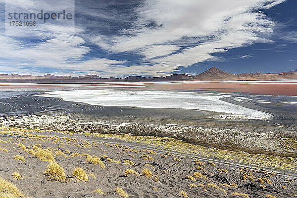 Ein endorheischer Salzsee im Altiplano  Eduardo Avaroa Andean Fauna National Reserve  Bolivien  Südamerika