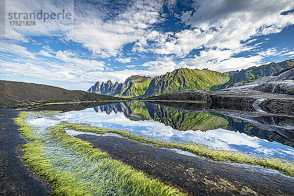 Algen auf Klippen mit Bergen  die sich im Wasser im Hintergrund spiegeln  Tungeneset  Senja  Kreis Troms  Norwegen  Skandinavien  Europa