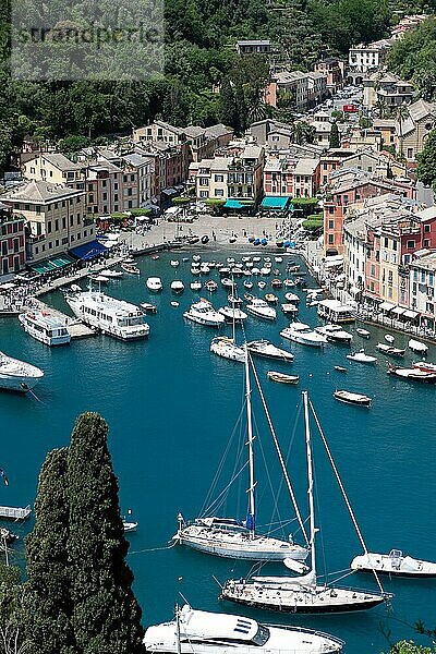 Blick von oben auf Hafen von Portofino mit kleinen Booten  im Vordergrund Segelyachten und Motoryachten  Portofino  Golfo Paradiso  Provinz Genua  Riviera di Levante  Ligurien  Italien  Europa