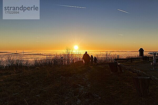 Besucher  Silhouetten  genießen Sonnenuntergang auf Berggipfel  Wintersonnenwende  Köterberg  Lügde  Weserbergland  Nordrhein-Westfalen  Deutschland  Europa