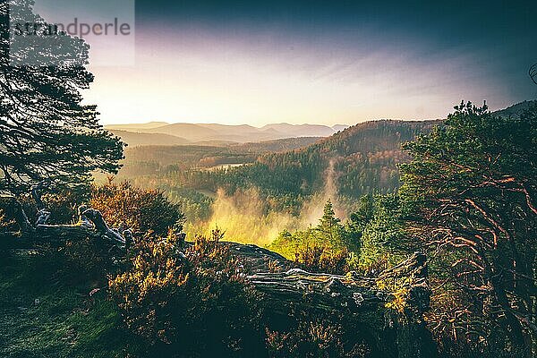 Blick in den Sonnenaufgang im Wald auf einem Felsen  der Schlüsselfels mit Wurzeln  Dahn  Rheinland Pfalz  Deutschland  Europa