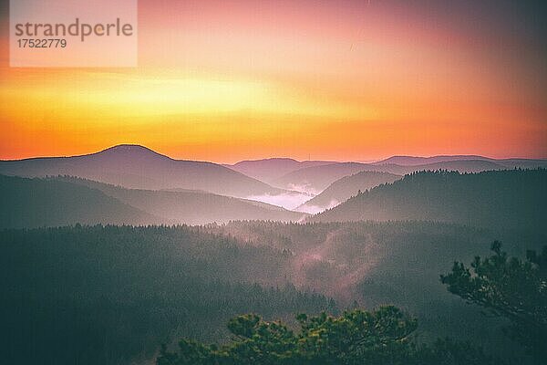 Blick vom dem Sandsteinfelsen Wachtfelsen zum Sonnenaufgang  Morgenstimmung mit toller Landschaft im Nebel  Wernersberg  Rheinland Pfalz  Deutschland  Europa