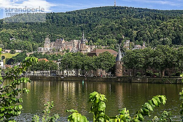 Stadtpanorama mit Schloss und Altstadt  Heidelberg  Baden-Württemberg  Deutschland  Europa