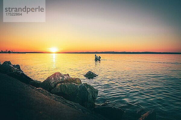 Ufer an einem See  Steg des Hafens von Siofok. Im Hintergrund ist ein Schwan und es geht die sonne unter  Sonnenuntergang in Siofik  Balaton  Plattensee  Ungarn  Europa
