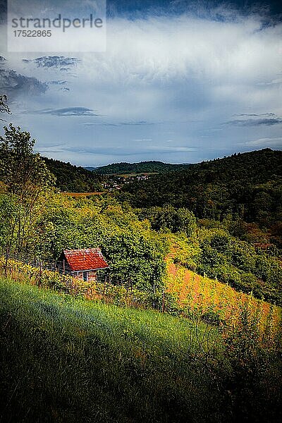 Blick in einer grüne Landschaft mit kleiner Hütte  Heppenheim  Hessen  Deutschland  Europa