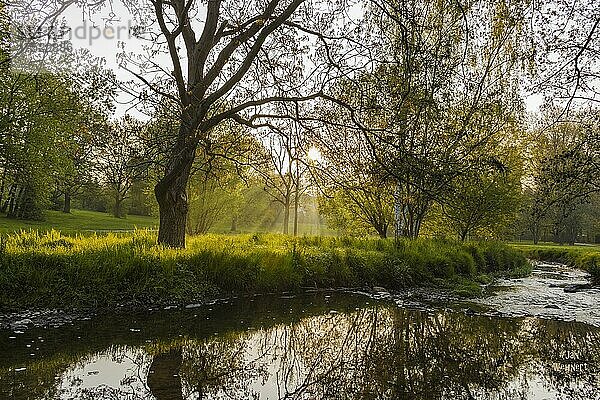 Frühling mit grünen Wiesen und einem Bach im Sonnenaufgang  Hessen  Deutschland  Europa