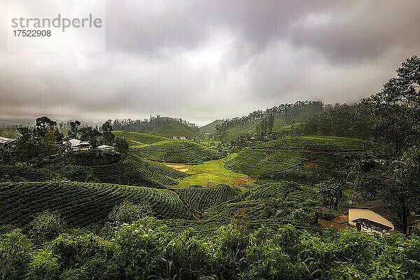 Zugfahrt mit dem blauen Zug  von Kandy nach Ella  Quer durch das Hochland und den Teeplantagen von Sri Lanka