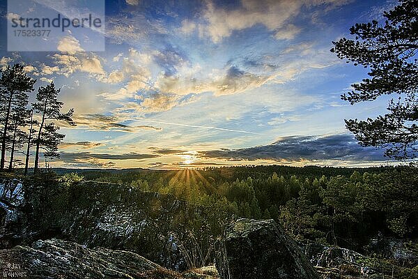 Ausblick in den Sonnenuntergang  Landschaftsaufnahme über die Wälder von schweden  bei Förskog  Schweden  Skandinavien  Europa