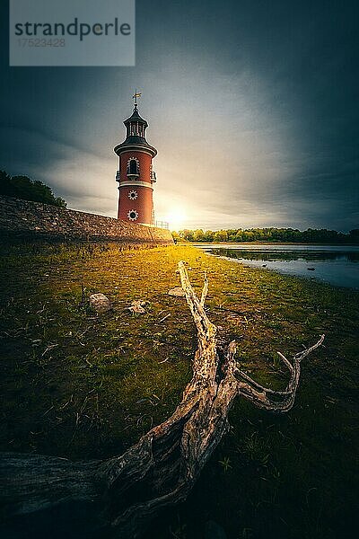 Niederer Großteich  See mit Leuchtturm  Ast  Sonne  Moritzburg  Sachsen  Deutschland  Europa