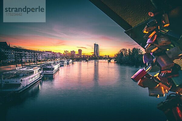 Blick über den Main bei Sonnenuntergang. Liebesschlösser  Frankfurt am Main  Hessen  Deutschland  Europa