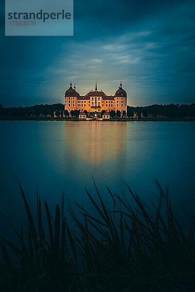 Beleuchtetes Schloss Moritzburg bei Abenddämmerung  Blaue Stunde  Wasserspiegelung im See  Sachsen  Deutschland  Europa