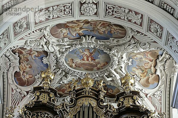 Deckenfresco Detail  Dom St. Stephan  auch Stephansdom  Passau  Niederbayern  Bayern  Deutschland  Europa