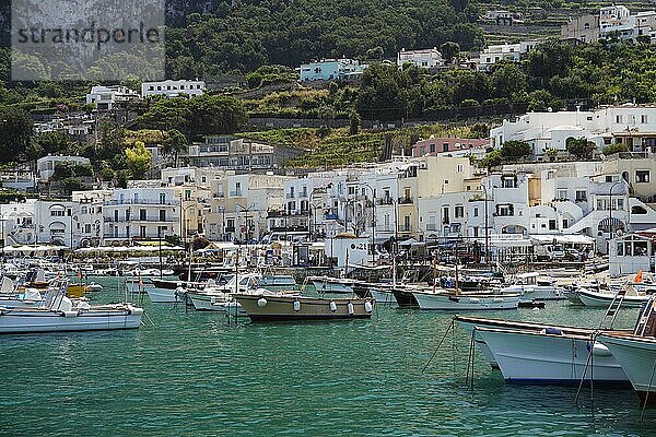 Hafen von Capri  Porto di Capri  Kampanien  Italien  Europa