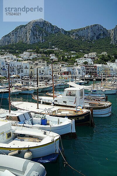 Hafen von Capri  Porto di Capri  Kampanien  Italien  Europa