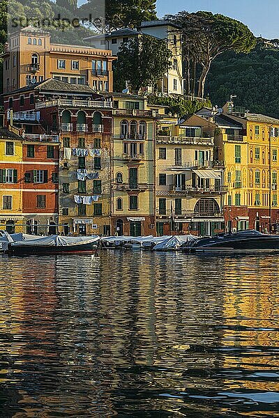 Pastellfarbene Häuserfassaden spiegeln sich im Hafen von Portofino  Boote liegen vor Anker  Portofino  Ligurien  Italien  Europa