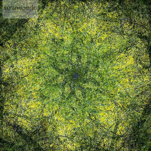 Herbstmosaik  Mehrfachbelichtung von herbstlichen Zweigen und Blättern  Hintergrund  abstrakt  Ilsenburg  Sachsen Anhalt  Deutschland  Europa