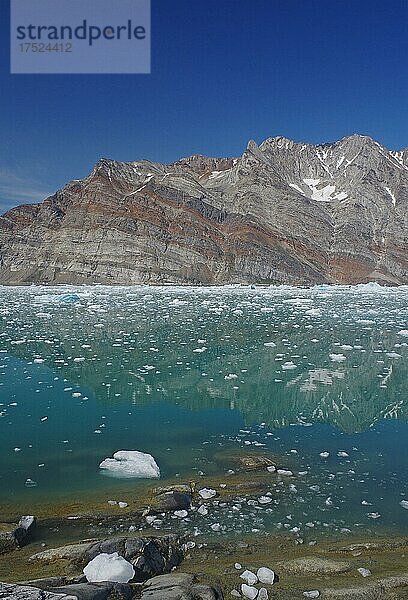 Aussicht auf einen Fjord  der mit Treibeis gefüllt ist  raue Berge im Hintergrund  durchssichtig klares Wasser  Sommer  Arktis  Knud Rasmussen Fjord  Arktis  Tasilaq  Grönland  Dänemark  Nordamerika