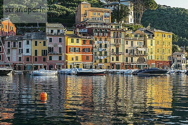 Pastellfarbene Häuserfassaden spiegeln sich im Hafen von Portofino  Boote liegen vor Anker  Portofino  Ligurien  Italien  Europa