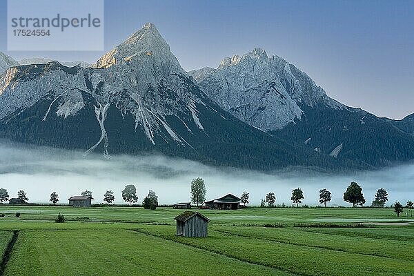 Morgennebel am Wettersteingebirge  Ehrwald  Tirol  Austria