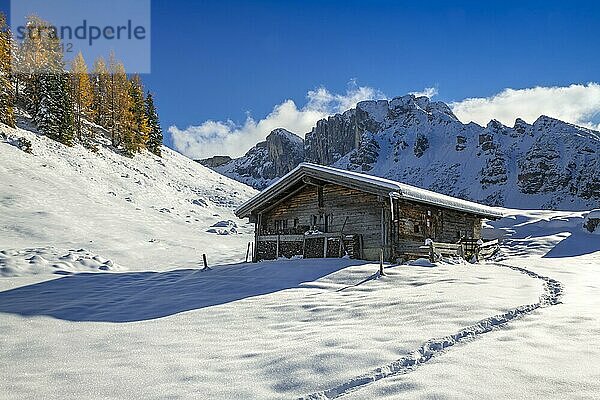 Kotalm Niederleger bei Schnee im Spätherbst  Achenkirch  Tirol  Österreich  Europa