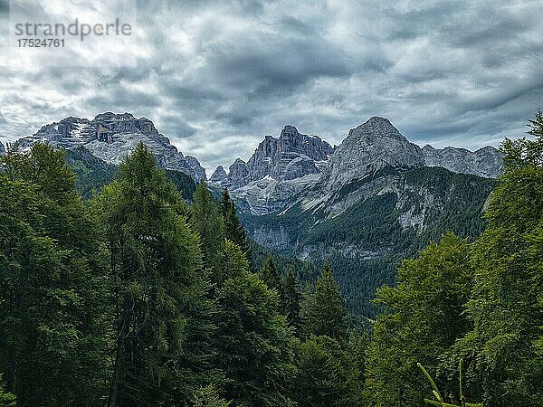 Brenta-Gebirge im Sommer  Rendena-Tal  Trentino  Südtirol  Italien  Europa