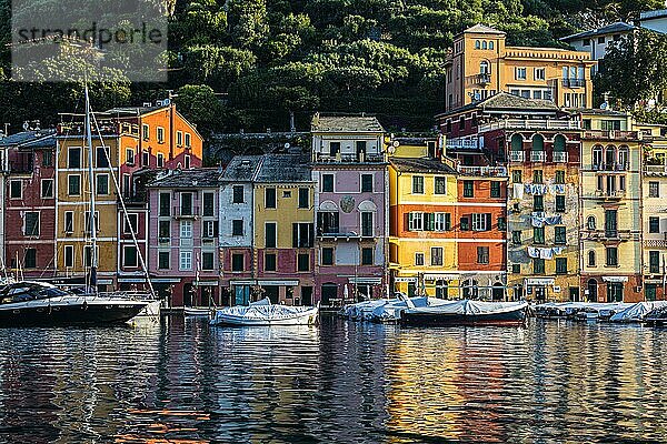 Pastellfarbene Häuserfassaden spiegeln sich im Hafen von Portofino  Boote liegen vor Anker  Portofino  Ligurien  Italien  Europa