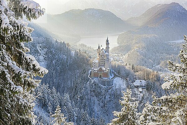 Schloss Neuschwanstein  bei Füssen  Winter  Ostallgäu  Allgäu  Bayern  Deutschland  Europa