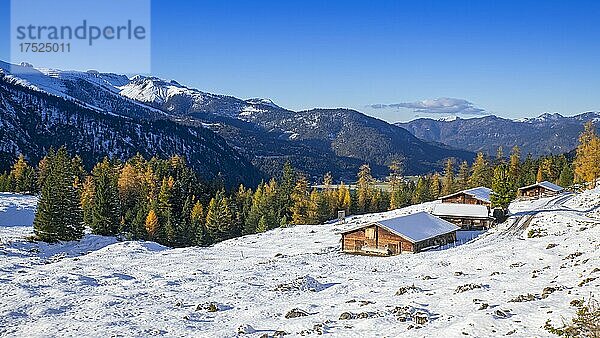 Kotalm Niederleger bei Schnee im Spätherbst  Achenkirch  Tirol  Österreich  Europa