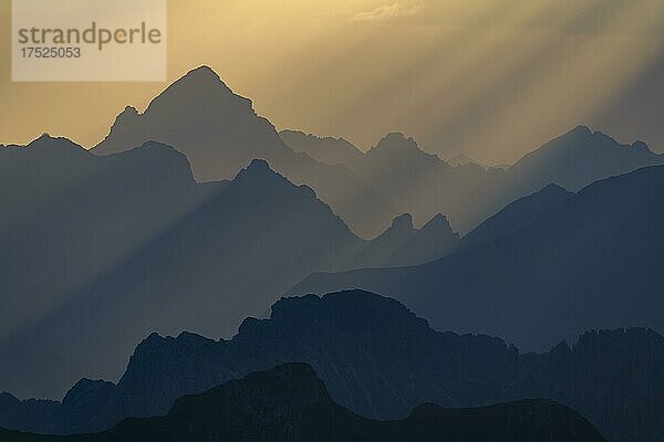 Goldene Stunde über Allgäuer Bergen  Warth  Vorarlberg  Österreich  Europa
