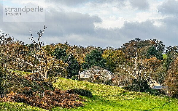 Ugbrooke House and Gardens in den Farben des Herbstes  Exeter  Devon  England  Großbritannien  Europa