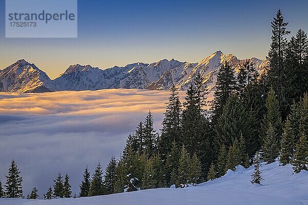 Winterliche Gebirgslandschaft mit geschlossener Nebeldecke über dem Inntal  hinten die Gleirsch-Halltal-Kette und die Vomper-Kette des Karwendelgebirge  vom Pillberg aus gesehen  Inntal  Tirol  Österreich  Europa