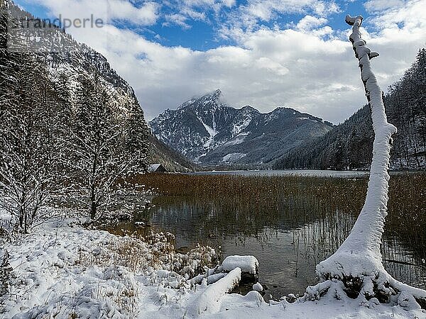 Winterliche Landschaft am Leopoldsteinersee  Eisenerz  Steiermark  Österreich  Europa