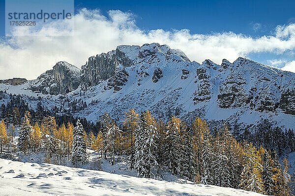 Gebirgslandschaft im Spätherbst bei Schnee  vorne Fichten und Lärchen  hinten das Rofan-Gebirge  Kotalm Mittelleger  Achenkirch  Tirol  Österreich  Europa