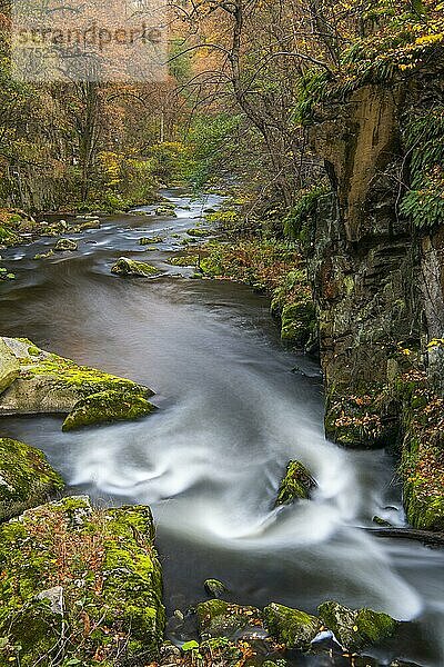 Fluss Bode im herbstlichen Harz  Bodetal  Thale  Sachsen-Anhalt  Deutschland  Europa