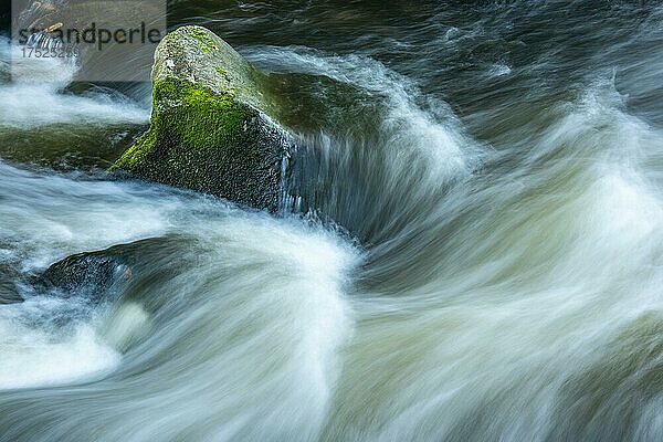 Fluss Bode im herbstlichen Harz  Gebirgsbach  Stromschnelle  Wasserfall  Bodetal  Thale  Sachsen-Anhalt  Deutschland  Europa