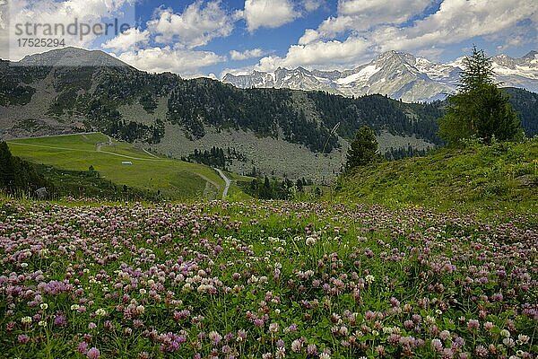 Speikboden  Ahrntal  Dolomiten  Südtirol  Italien  Europa