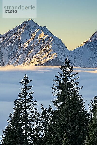 Winterliche Gebirgslandschaft mit geschlossener Nebeldecke über dem Inntal  hinten die Gleirsch-Halltal-Kette des Karwendelgebirge  vom Pillberg aus gesehen  Inntal  Tirol  Österreich  Europa