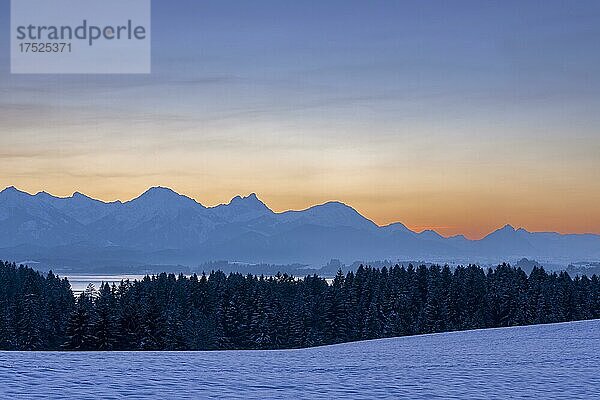 Tannheimer Berge mit Forggensee bei Füssen  Allgäu  Bayern  Deutschland  Europa