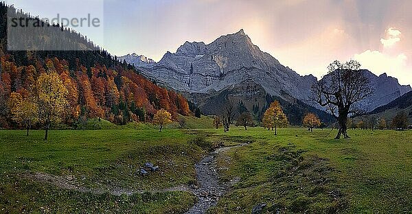 Großer Ahornboden mit herbstlich bunten Ahornbäumen bei Sonnenuntergang mit den Flussbett des Enger Tal Baches  Engalm  Engtal  Karwendel  Pertisau  Hinterriß  Tirol  Österreich  Europa