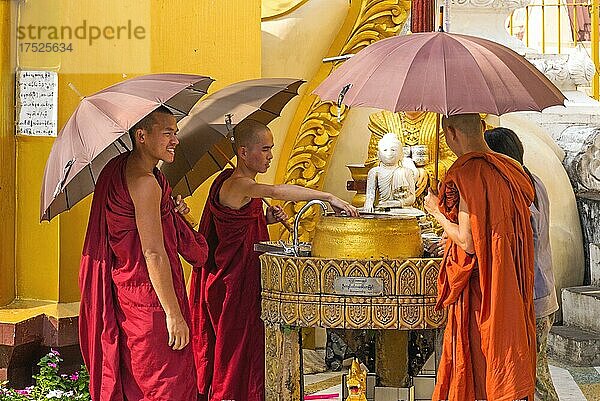 Mönche bei der zeremoniellen Waschung der Nats  Shwedagon Pagode  Yangon  Myanmar  Yangon  Myanmar  Asien