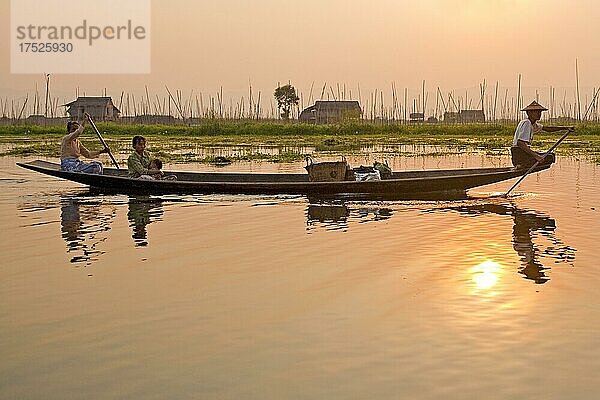 Schwimmende Felder  Einbeinruderer  Inle See  Myanmar  Inle See  Myanmar  Asien