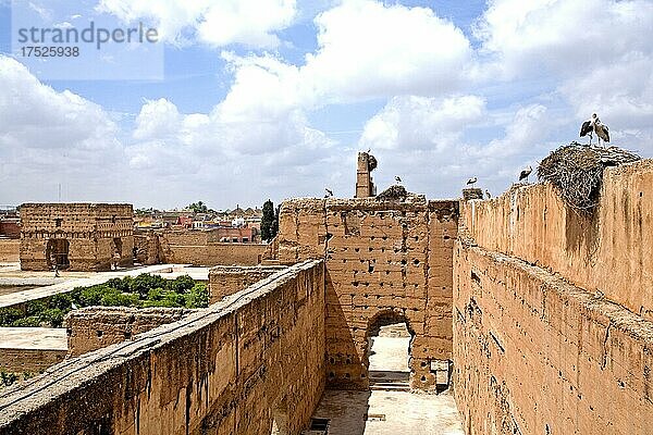 Storchennester in den Ruinen des Palais el-Badi  Marrakesch  Marokko  Afrika